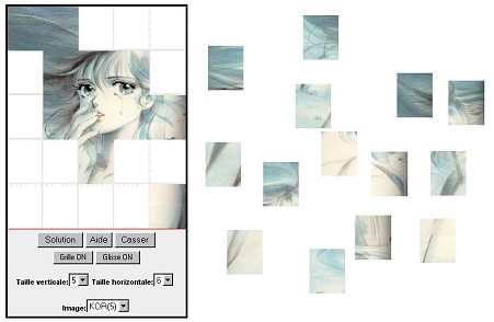 Phase de reconstution du puzzle bientôt achevée !
