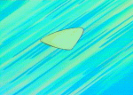 FIN