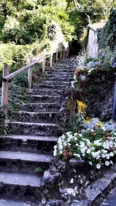 escalier01d.jpg