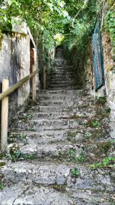 escalier01f.jpg