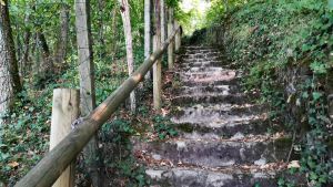 escalier01i.jpg