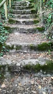 escalier01j.jpg